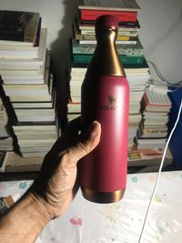日本未発売　STANLEY SLIM BOTTLE ボルドー Garrafa Térmica Slim Bottle Gilded Pomegranate 591ml – Stanley 1913 BR