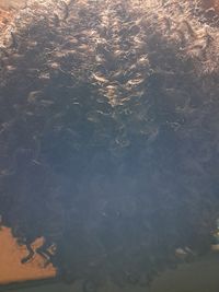Foto da avaliação de Marluce A.