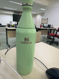 Garrafa Térmica Slim Bottle Pistachio | 591ml – Stanley 1913 BR