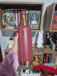 Garrafa Térmica Slim Bottle Gilded Pomegranate 591ml – Stanley 1913 BR